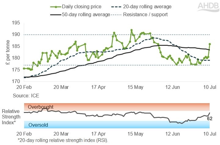 Line graph of UK feed futures Nov-26 contract prices over the past six months.